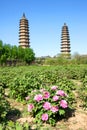 Double Pagoda Temple Royalty Free Stock Photo