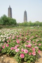 Double-pagoda Temple Royalty Free Stock Photo