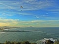 Paragliding flight over the sea Royalty Free Stock Photo