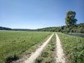 Rural landscape