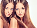 Double portrait of gorgeous twins with ong shiny healthy hair.. Royalty Free Stock Photo