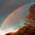 A double rainbow in the autumn sky Royalty Free Stock Photo