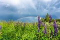 Double rainbow in the blue cloudy sky over green meadow and a forest illuminated by the sun in the country side Royalty Free Stock Photo