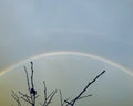 Double rainbow. Rainbow and last leaf.