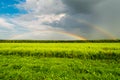 Double Rainbow over the meadow Royalty Free Stock Photo