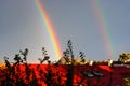 Double rainbow over roofs