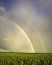 Double rainbow over the sugar cane