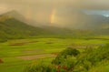 Double Rainbows, Hanalei Valley Royalty Free Stock Photo