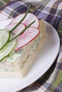 Double sandwich with cucumber, radish close-up