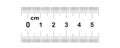 Double sided Ruler 5 centimeter or 50 mm. Value of division 0.5 mm. Precise length measurement device. Calibration grid