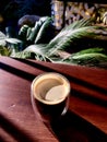 Double Sided Wall Glass Cup of Americano Coffee on Wooden Table at Garden