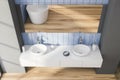 Double sink in grey and blue bathroom, top view
