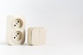 double socket and two-key light switch on white background.
