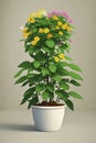Double style plant, green and flowering
