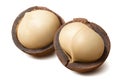 Double whole macadamia nuts isolated on white background
