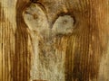 Knots in Pine Wood, Showing a Depiction of `Eyes` Royalty Free Stock Photo
