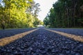 Double yellow line road Royalty Free Stock Photo