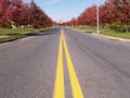 Double yellow lines on a road Royalty Free Stock Photo