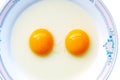 Double-yolk egg Royalty Free Stock Photo