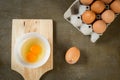 Double yolk egg. Royalty Free Stock Photo