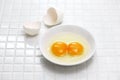 Double yolk egg