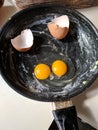 Double yolk egg Royalty Free Stock Photo
