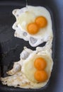 Double yolk eggs fried