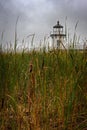 Doubling Point Lighthouse Over Cattails Vertical Royalty Free Stock Photo