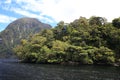 Doubtful Sound , New Zealand