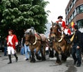 Doudou Parade in Mons, Belgium