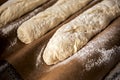 Homemade french baguette ready for the oven Royalty Free Stock Photo