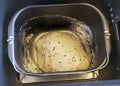The dough in the bread maker Royalty Free Stock Photo