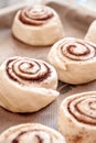 Dough buns lie on baking sheet and are ready for baking in oven Royalty Free Stock Photo