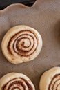 Dough buns lie on baking sheet and are ready for baking in oven view from above Royalty Free Stock Photo