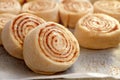 Dough buns lie on baking sheet and are ready for baking on row baking paper side view, close up Royalty Free Stock Photo