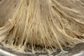 Dough fermented dough. Gluten structure texture close up. Baking at home, sourdough bread making