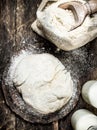 Dough made from fresh milk flour. Royalty Free Stock Photo