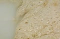 Dough for naturally leavened pizza. Close-up mother past. Food, italian cuisine and cooking concept