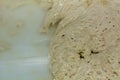 Dough for naturally leavened pizza. Close-up mother past. Food, italian cuisine and cooking concept