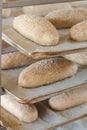 Dough preparation and kneading at baking sheet table in the oven multigrain white flour sesame seeds grain bread person baker cutt Royalty Free Stock Photo