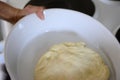 Dough is prepared for the pie mold fresh