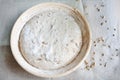 Dough rising in the proofing basket baneton Royalty Free Stock Photo