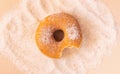 doughnut bitten on apricot colour background with sugar. Copy space