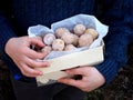 Doughnut. Oat donuts with cinnamon, powdered sugar and coffee. Street food. Round fritter. Space for text