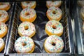 Doughnuts with White glaze on the grocery store window Royalty Free Stock Photo