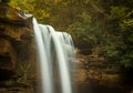 Douglas Falls near Blackwater Canyon trail near Thomas WV