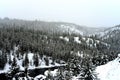 Yellowstone Winter Snow Madison River Royalty Free Stock Photo