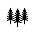 Douglas fir forest tree icon Royalty Free Stock Photo