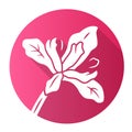 Douglas iris plant pink flat design long shadow glyph icon. California blooming wildflower. Garden flower, weed. Iris