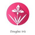 Douglas iris plant pink flat design long shadow glyph icon. California blooming wildflower. Garden flower, weed. Iris